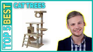 Top 5 Best Cat Trees Reviews 2023