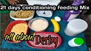 21 days conditioning feeding mix all about derby (kamanokis)