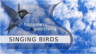 Reset your Ears | SINGING BIRDS | Happiness & Positivity | CHIRPING | Nature Sounds