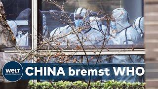 CORONA-URSPRUNG: Warum die WHO nach der Wuhan-Untersuchung nur vage Ergebnisse präsentiert