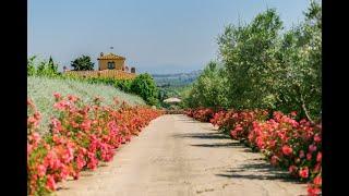 Villa Pesa - Tuscany Villas