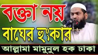 আল্লামা মামুনুল হক ৷ Allama Mamunul Haque New Waz 2021 mp3