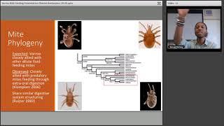 Varroa Does Not Feed on Hemolymph. Samuel Ramsey