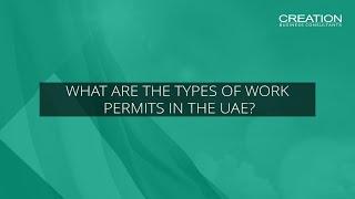 What are the types of work permits in the UAE?