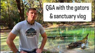 Q&A with the gators & sanctuary vlog!