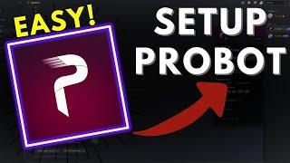 EASY Probot Setup Tutorial for Your Discord Server!