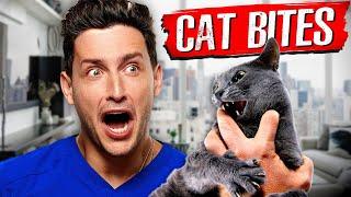 Why Cat Bites Are So Dangerous | RTC 35