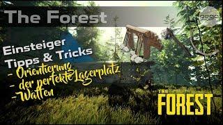 Orientierung - perfekter Lagerplatz - Waffen | Tipps & Tricks | The Forest | pegaplays #37