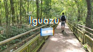 JELLEX | IGUAZU FALLS (4K)