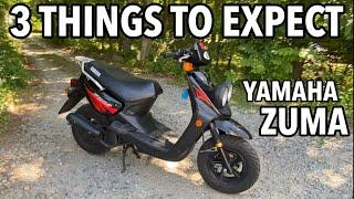 3 things you MUST EXPECT when buying YAMAHA ZUMA (50cc)