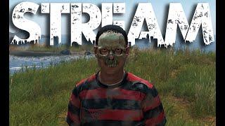 Хочется грязи ПВП DayZ 1.27 / Twitch / VKLive #stream #dayz