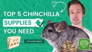 Chinchilla Care 101 (Top 5 Essential Chinchilla Supplies You NEED To Have)