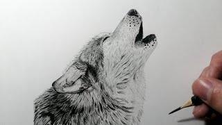 Cómo dibujar un Lobo