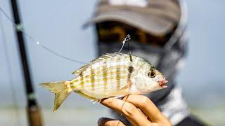 This Is What Happens When You Free Line LIVE PINFISH At a Tiny BRIDGE!