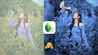 Snapseed Dark Blue And Bird Photo Editing Tutorial | Snapseed Background Colour Change Tricks