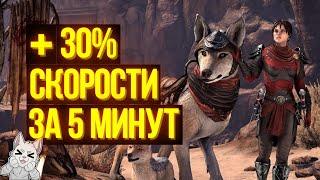 БЫСТРЫЕ МАУНТЫ ВСЕМ! Как получить 30% к скорости ВСЕХ ваших маунтов за 5 минут? | ТЕСО