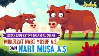 Kisah Sapi Betina dalam Al Quran | Kisah Teladan Nabi | Cerita Islami | Cerita Anak Muslim