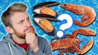 COSA SONO I CROSTACEI? - Salotto della Valle