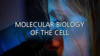 MBC - Master's Degree in Molecular Biology of Cell