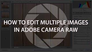 How to Edit Multiple Images in Adobe Camera Raw