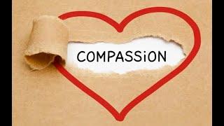 Series of Discussions With Psychologist Peter Miller: Practice Compassion