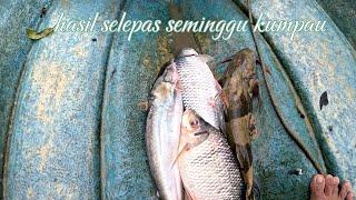 Jual hasil seminggu 