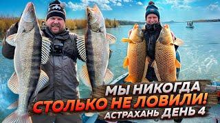 МЫ НИКОГДА СТОЛЬКО НЕ ЛОВИЛИ! Рыбалка в Астрахани 2024