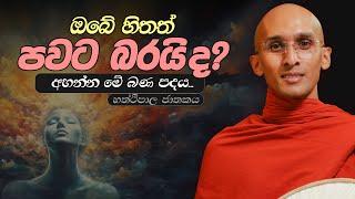 276. ඔබේ හිතත් පවට බරද? | හත්ථිපාල ජාතකය | 2024-03-01