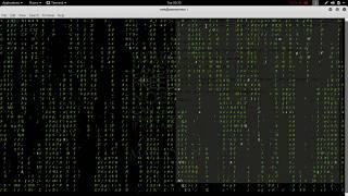 matrix effect in kali linux using terminal