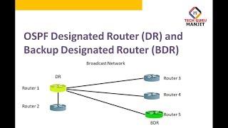 OSPF Designated Router and Backup Designated Router || Tech Guru Manjit