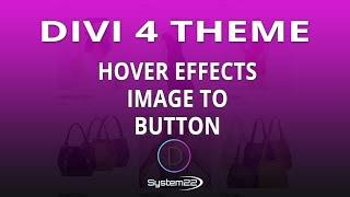 Divi Theme Hover Effects Image to Button 