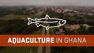 AquaFish Innovation Labs: Institution Strengthening in Ghana