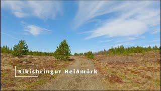 Rikishringurinn Heidmork | Virtual Forrest  Trail Run | Reykjavik Iceland | POV Running | GOPRO 4K