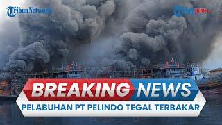  BREAKING NEWS: Kebakaran Dahsyat di Pelabuhan PT Pelindo Tegal, Belasan Kapal Nelayan Hangus