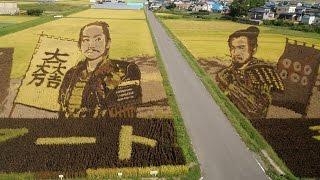 Japanese Farmers Incredible Rice Field Art