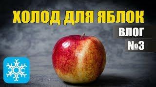 Холодильное оборудование для хранения яблок | ВЛОГ №3