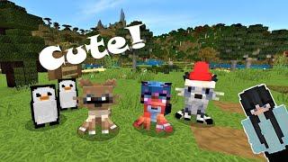 Taming CUTE PETS in Minecraft!