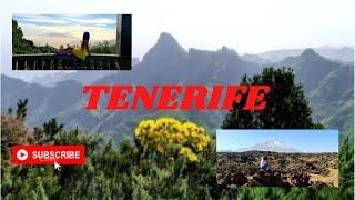 Things to do in Tenerife Spain