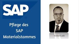 Pflege des SAP Materialstammes mit eindeutigen Verantwortlichkeiten