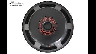 Teaser!!! New Product SPL Audio Speakers