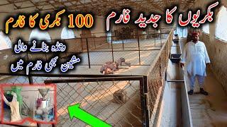 OutClass Modern Goat Farming Setup In Sahiwal - Modern Goat Farming In Pakistan