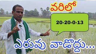 వరిలో 20-20-0-13 ఎరువు వాడొద్దు|paddy technical cultivation|by karshaka nestham