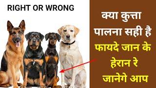 क्या dog पालना सही है // फायदे जान के हेरान रे जानेगे आप