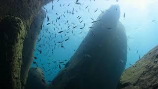 Jeremy Wade talks about seeing the decline of mega-fish and the importance of healthy rivers