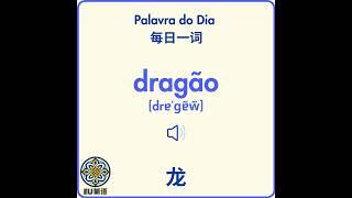 Palavra do Dia 每日一词 - dragão