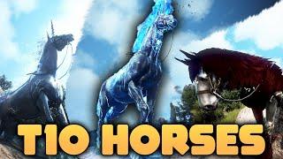 All T10 Horses - Thoughts, Updates, Tips | Black Desert online