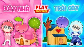 PLAY TOGETHER | BEDY SOLO CÀY NHÀ CHO PET TRÁI CÂY CÙNG MEO VÀ CÁI KẾT