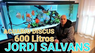 ACUARIO DISCUS 600 LITROS // Jordi Salvans