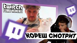 КОРЕШ СМОТРИТ: Топ Моменты с Twitch | котика жалко