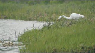 Exploring Fresh Pond, Block Island